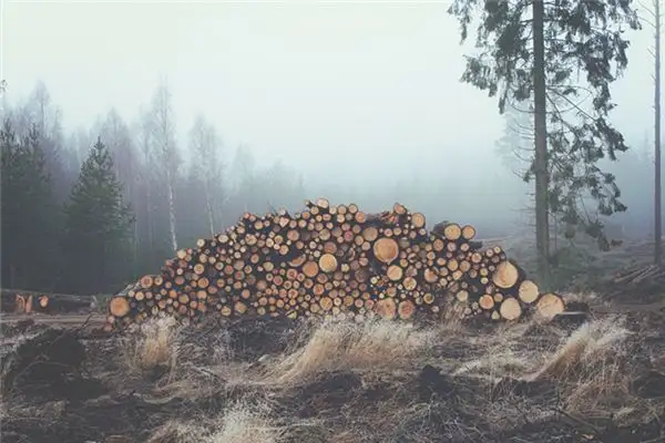Dream Interpretation Finding Firewood Meaning in Dreams - DreamDecode-DreamDecode