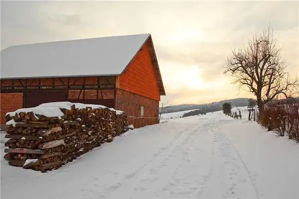 Dream Interpretation Snow on Roof Meaning – NuvoraDream-DreamDecode