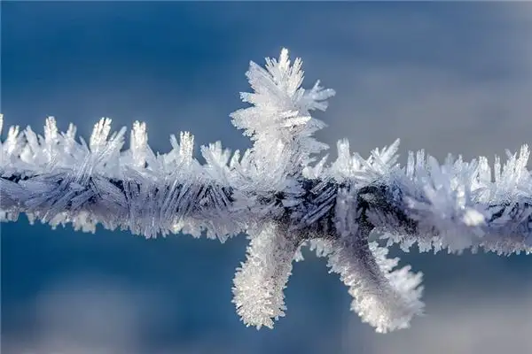 Dream of Frost Meaning and Interpretation - NuvoraDream - DreamDecode-DreamDecode