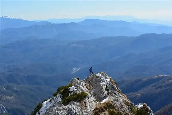 Dream Interpretation of Climbing Rising Trees Mountains and Airplanes NuvoraDream-DreamDecode