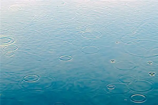 Dreaming of Spring Rain Meaning and Interpretation - NuvoraDream-DreamDecode