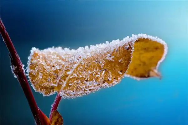 Dream of Frost Descent Meaning and Interpretation - NuvoraDream-DreamDecode