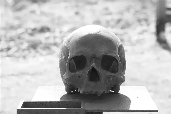 Dreaming of a Skull Meaning and Interpretation - NuvoraDream-DreamDecode