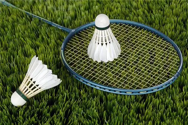 Dream of Badminton Meaning and Interpretation - NuvoraDream-DreamDecode
