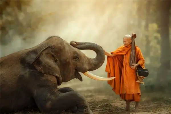 Dream Interpretation of Giving Alms in Dreams - NuvoraDream-DreamDecode