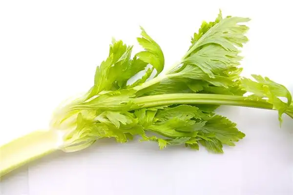 Dream of Celery Meaning and Interpretation - NuvoraDream-DreamDecode