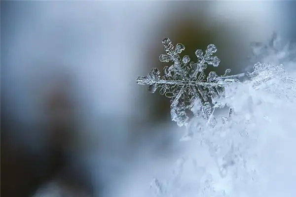 Dream Interpretation of Frost and Snow in Your Sleep at NuvoraDream-DreamDecode