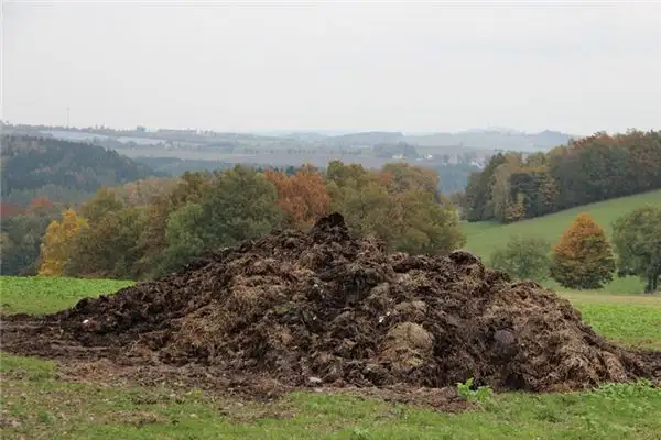Dream Interpretation of Carrying Night Soil - NuvoraDream