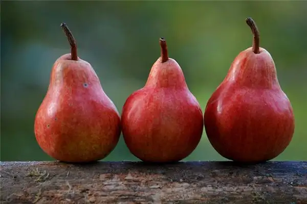Dream Interpretation Finding Pears in Dream NuvoraDream-DreamDecode
