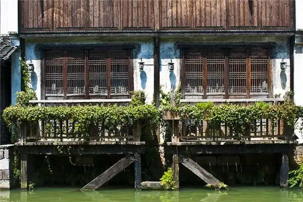 Dream of Ivy Meaning and Interpretation - NuvoraDream-DreamDecode