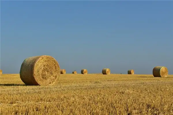 Dream of Hay Meaning and Interpretation - NuvoraDream - DreamDecode-DreamDecode