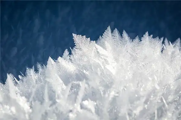Dream Interpretation of Winter in Your Sleep - NuvoraDream - DreamDecode-DreamDecode