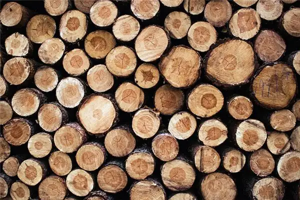 Dream Interpretation of Carrying Wood in Your Sleep - NuvoraDream-DreamDecode