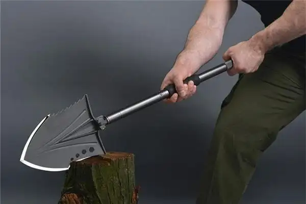 Dream Interpretation of Hitting and Cutting Bamboo in Dreams NuvoraDream