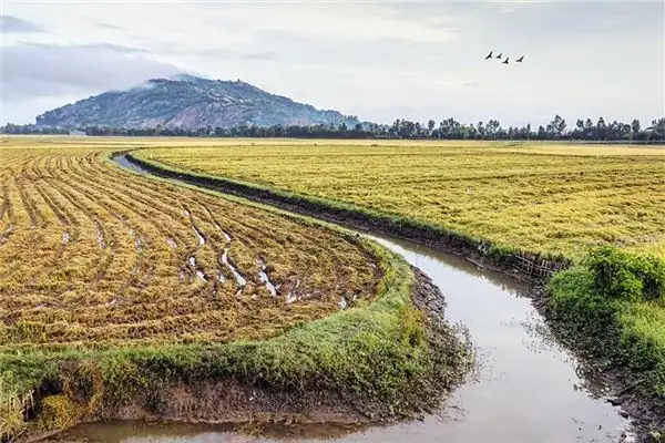 Dream Interpretation of Trenches and Ditches - NuvoraDream - DreamDecode-DreamDecode