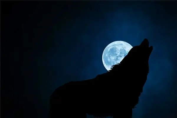 Werewolf Dream Meaning Interpretation - NuvoraDream-DreamDecode