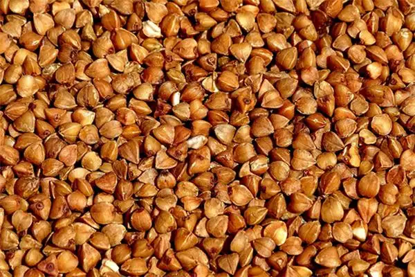 Dream Interpretation of Buckwheat in Dreams - NuvoraDream - DreamDecode-DreamDecode