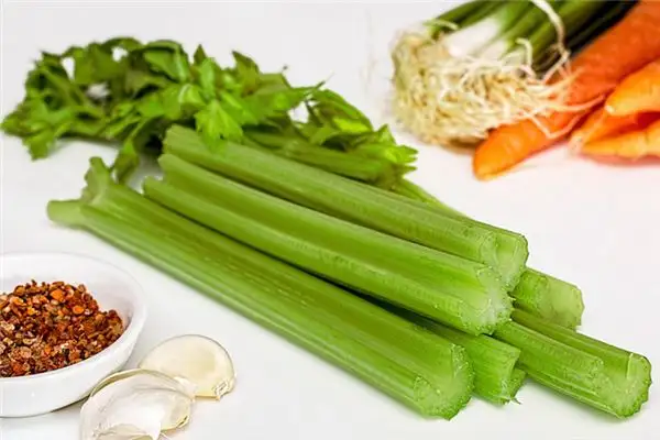 Dream of Water Celery Meaning and Interpretation - NuvoraDream-DreamDecode