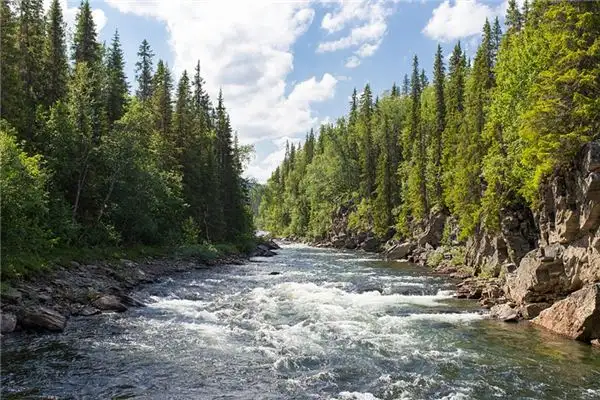 Dream Interpretation of Seeing a Stream in Your Sleep NuvoraDream - DreamDecode-DreamDecode