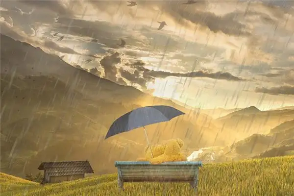 Dreaming of Sun Shower Meaning and Interpretation - NuvoraDream