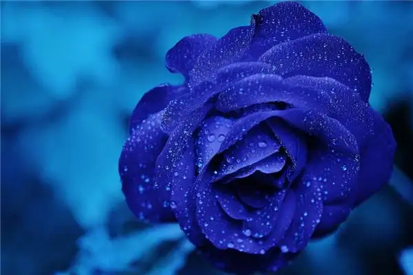 Dream of Blue Meaning and Interpretation - NuvoraDream - DreamDecode-DreamDecode