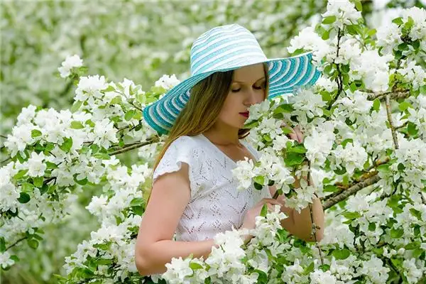 Dream Interpretation of Youth NuvoraDream