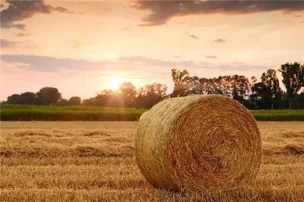 Dream of Straw Meaning - NuvoraDream - DreamDecode-DreamDecode