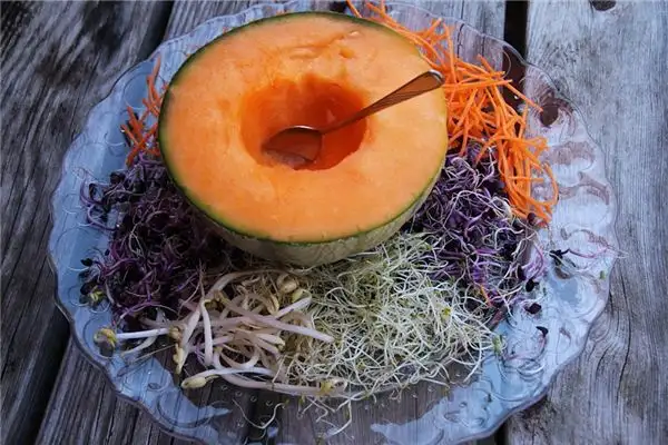 Dream Interpretation of Melons and Vegetables NuvoraDream - DreamDecode-DreamDecode