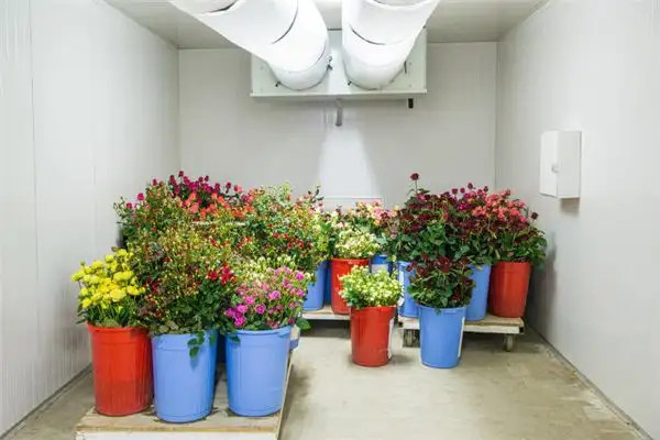 Dream Interpretation of Storage Room Meaning in Dreams - NuvoraDream-DreamDecode