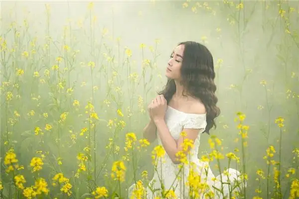 Dream Interpretation of Seeking Forgiveness and Making Amends - NuvoraDream-DreamDecode