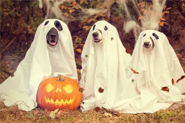 Dream Interpretation of Ghosts and Gods in Your Sleep