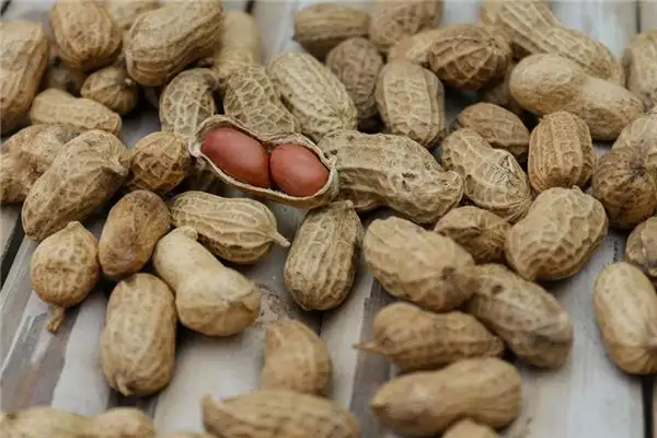 Dream Interpretation of Picking Peanuts in Your Sleep - NuvoraDream-DreamDecode