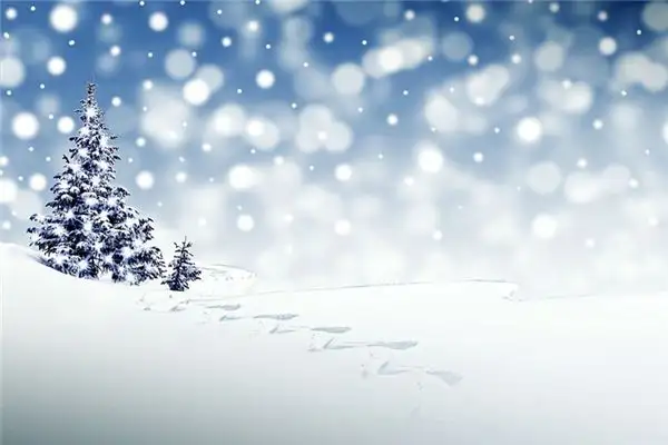 Dreaming of January Meaning and Interpretation - NuvoraDream-DreamDecode