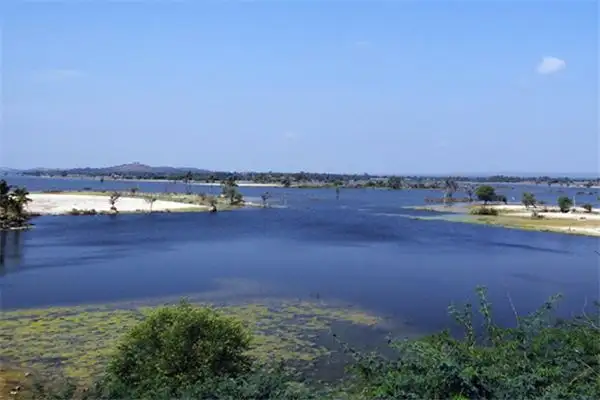 Dream Interpretation of Stagnant Water in Your Sleep-DreamDecode