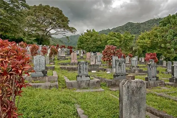 Dream Interpretation of Graves Tombs and Burial Sites-DreamDecode