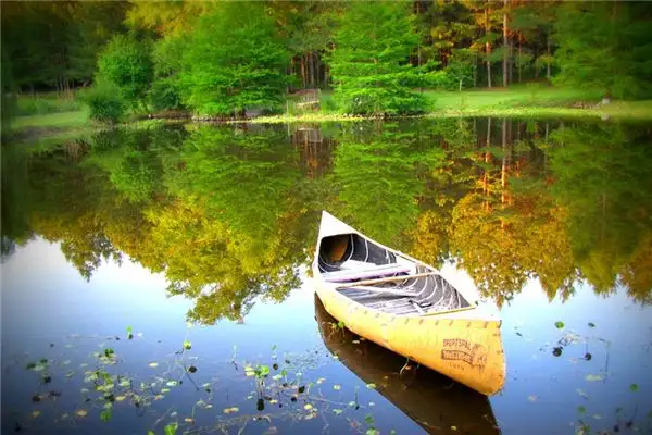 Dreaming of Rowing Meaning and Interpretation - NuvoraDream-DreamDecode