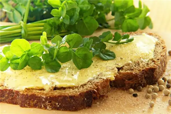 Dream of Mustard Seeds Meaning and Interpretation - NuvoraDream-DreamDecode