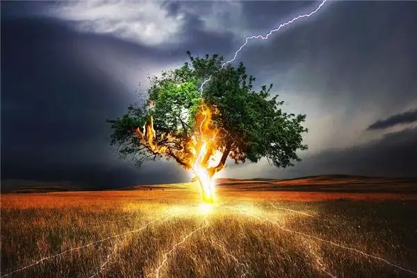 Dream Interpretation Lightning Striking a Tree Meaning on NuvoraDream-DreamDecode