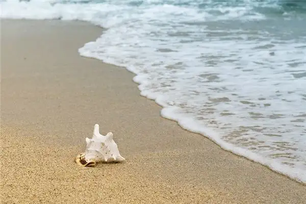 Dream Interpretation of Seeing a Coastline NuvoraDream-DreamDecode