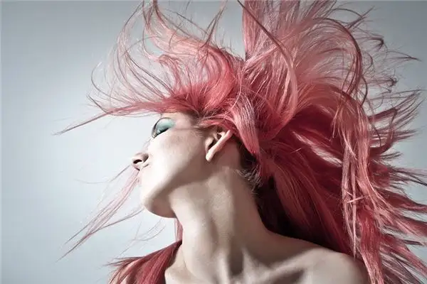 Dream Interpretation of Wild Dreams - NuvoraDream-DreamDecode