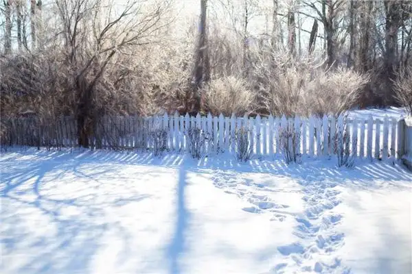 Dream Interpretation of Snow with Footprints or Melting in Your Sleep - NuvoraDream-DreamDecode