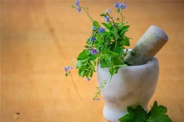 Dreaming of Herbs Meaning and Interpretation - NuvoraDream - DreamDecode-DreamDecode