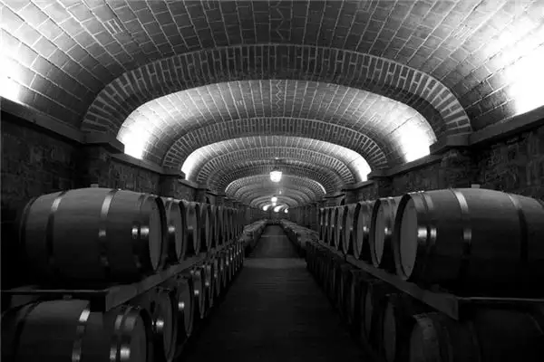 Dream Interpretation of a Cellar in Your Sleep - NuvoraDream-DreamDecode