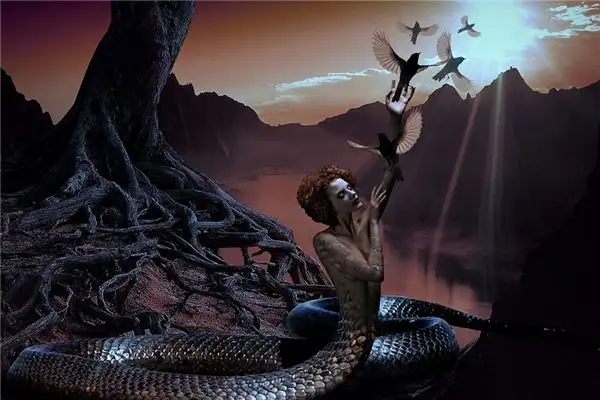 Dream Interpretation of Snakes Turning into Humans - NuvoraDream - DreamDecode-DreamDecode