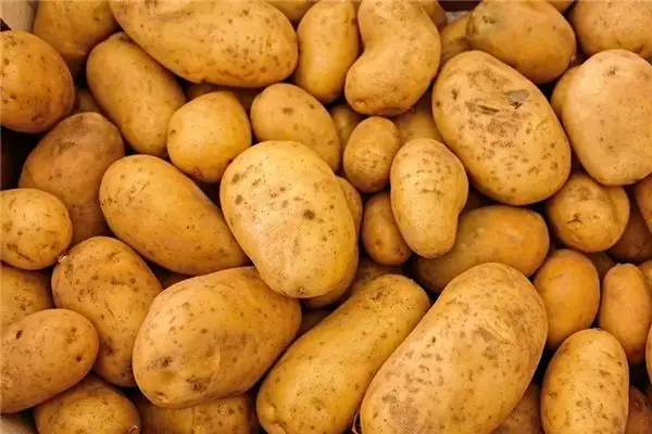 Dreaming of Potatoes Meaning and Interpretation - NuvoraDream-DreamDecode