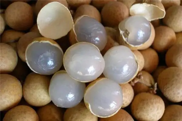 Dream of Longan Meaning and Interpretation - NuvoraDream - DreamDecode-DreamDecode