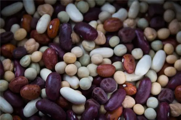 Dream of Broad Beans Meaning and Interpretation - NuvoraDream-DreamDecode