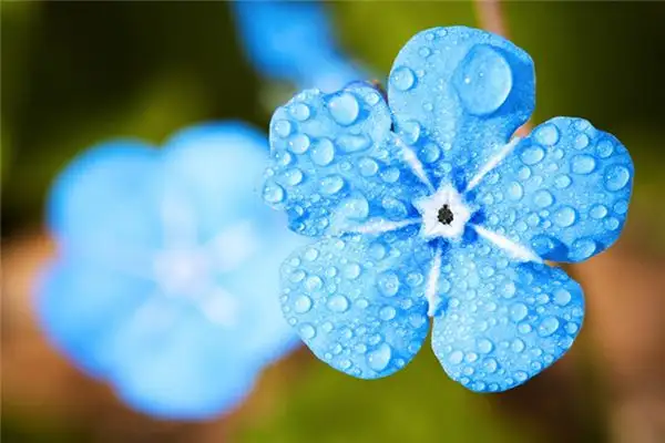 Dreaming of Spring Drizzle Meaning and Interpretation - NuvoraDream-DreamDecode