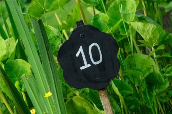 Dream of Number 10 Meaning and Interpretation NuvoraDream-DreamDecode