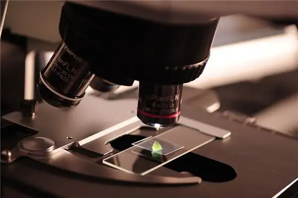 Dream Interpretation of a Laboratory in Your Dreams NuvoraDream